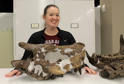 A surprising new species of rhino found at Gray Fossil Site -   
