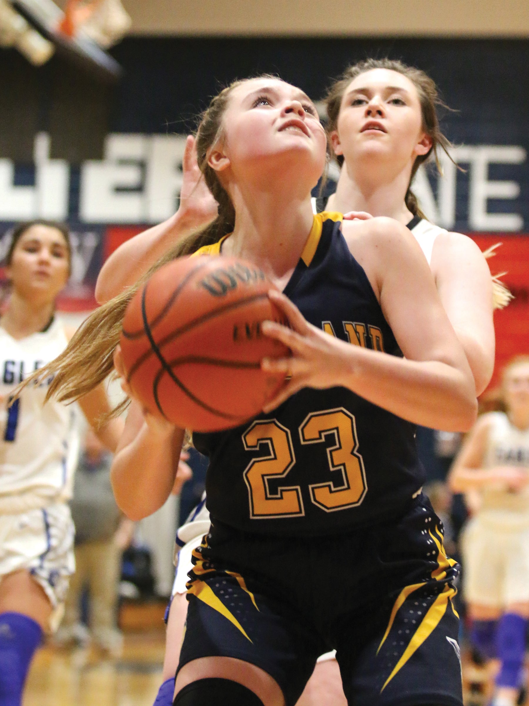 Region 1-A Girls Semifinal Cloudland 47 Cosby 26 Lady 'Landers ground ...