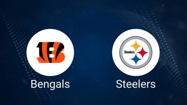 Bengals vs. Steelers: Odds, Moneyline, and Spread - Week 13