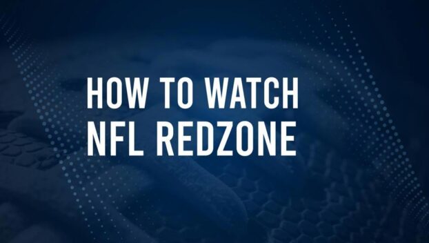 How to live stream NFL RedZone Week 15 with Fubo