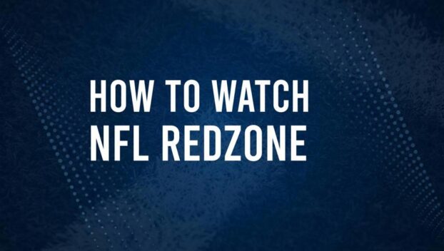 How to live stream NFL RedZone Week 17 with Fubo