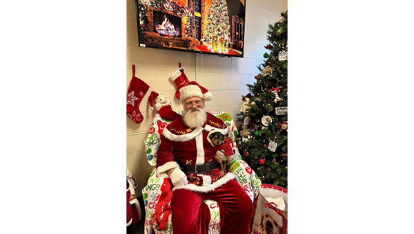 Santa Claus is coming to the Animal Shelter: Holiday Adoption Event this Saturday